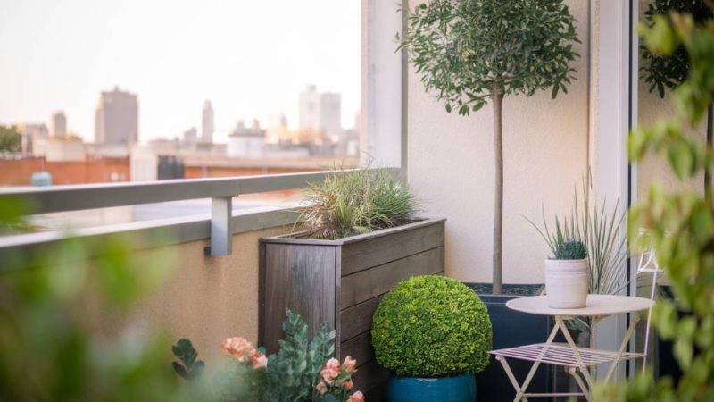 Wie du deinen balkon gemütlich machst: clevere pflanzideen für kleine flächen